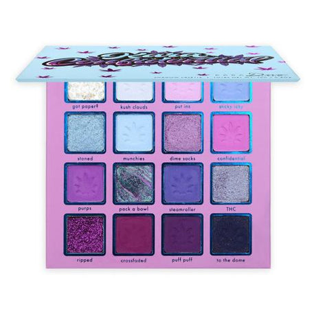 Kara Beauty Duo Confidential Shadow Palette 16 Colors Find Your New Look Today!