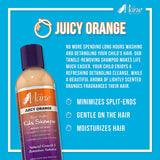 The Mane Choice Juicy Orange Fruit Medley Kids Shampoo, 8 Ounce Find Your New Look Today!